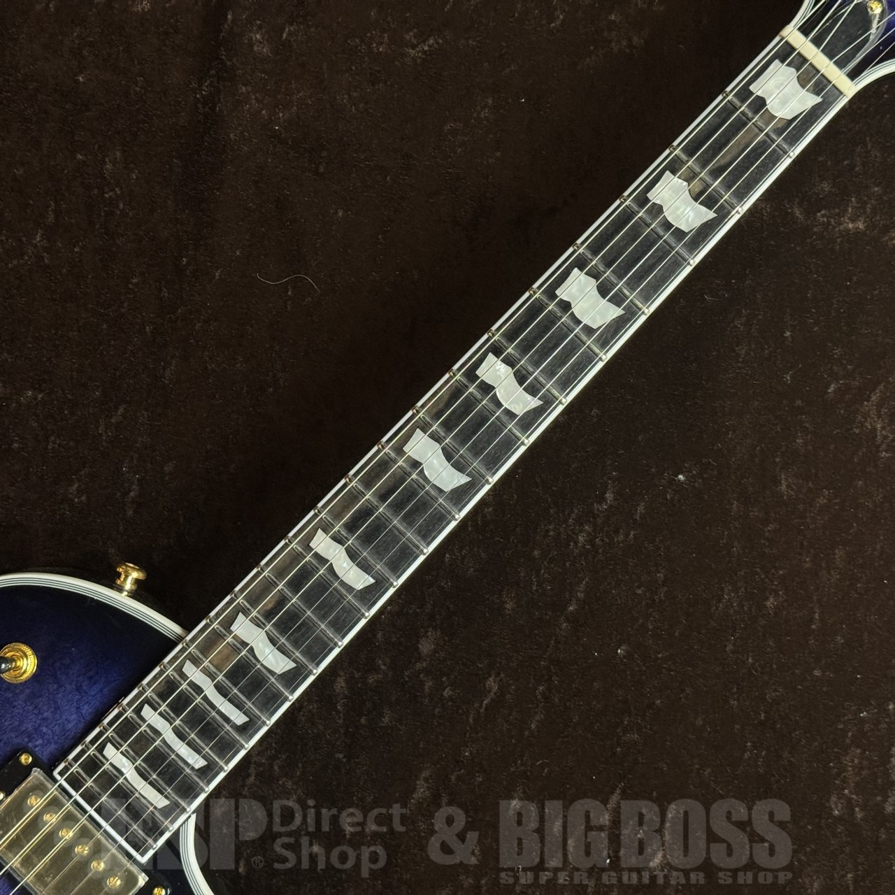 GrassRoots G-EC-CTM QM 【Raindeer Blue】（新品/送料無料）【楽器