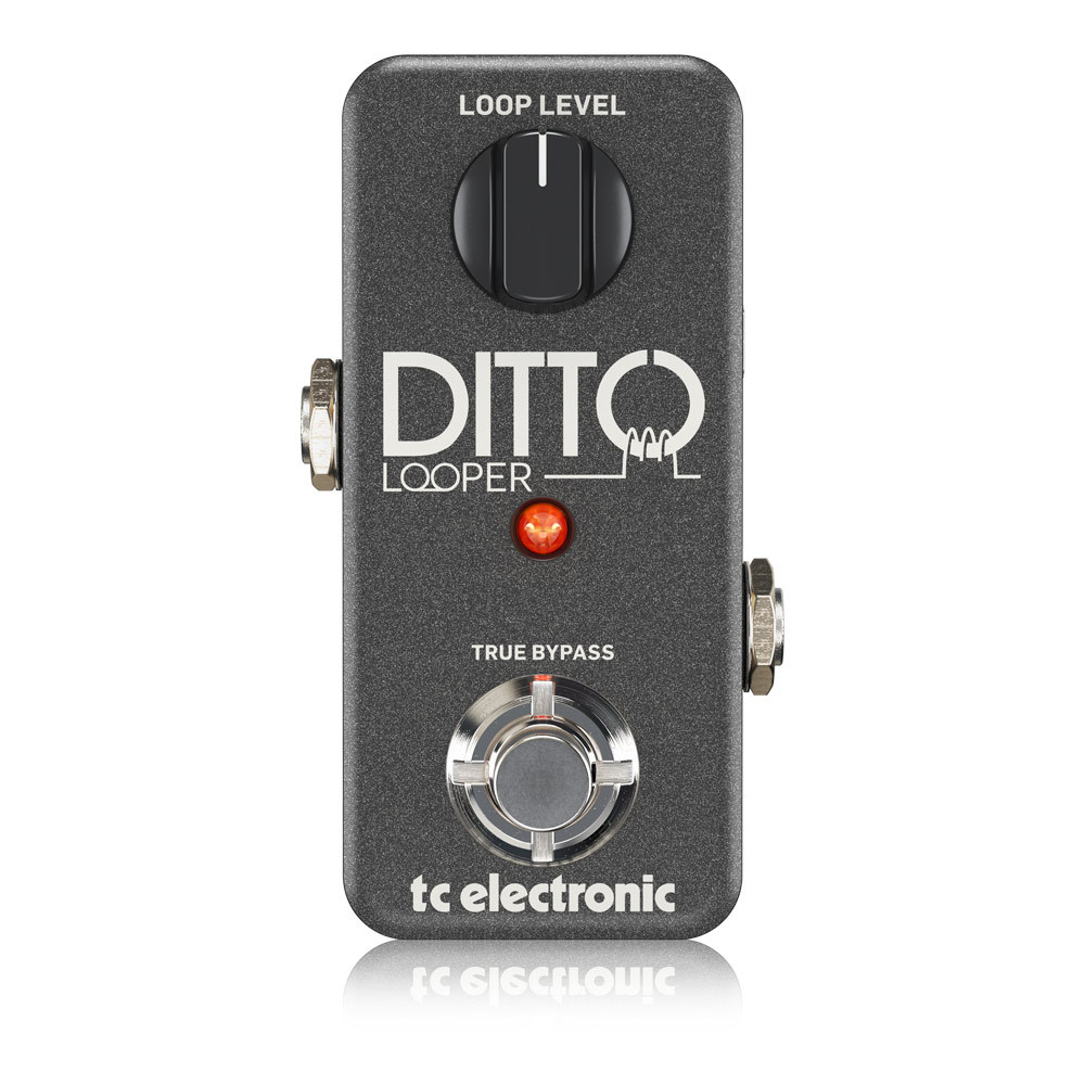 tc electronic Ditto Looper ルーパー（新品/送料無料）【楽器検索 