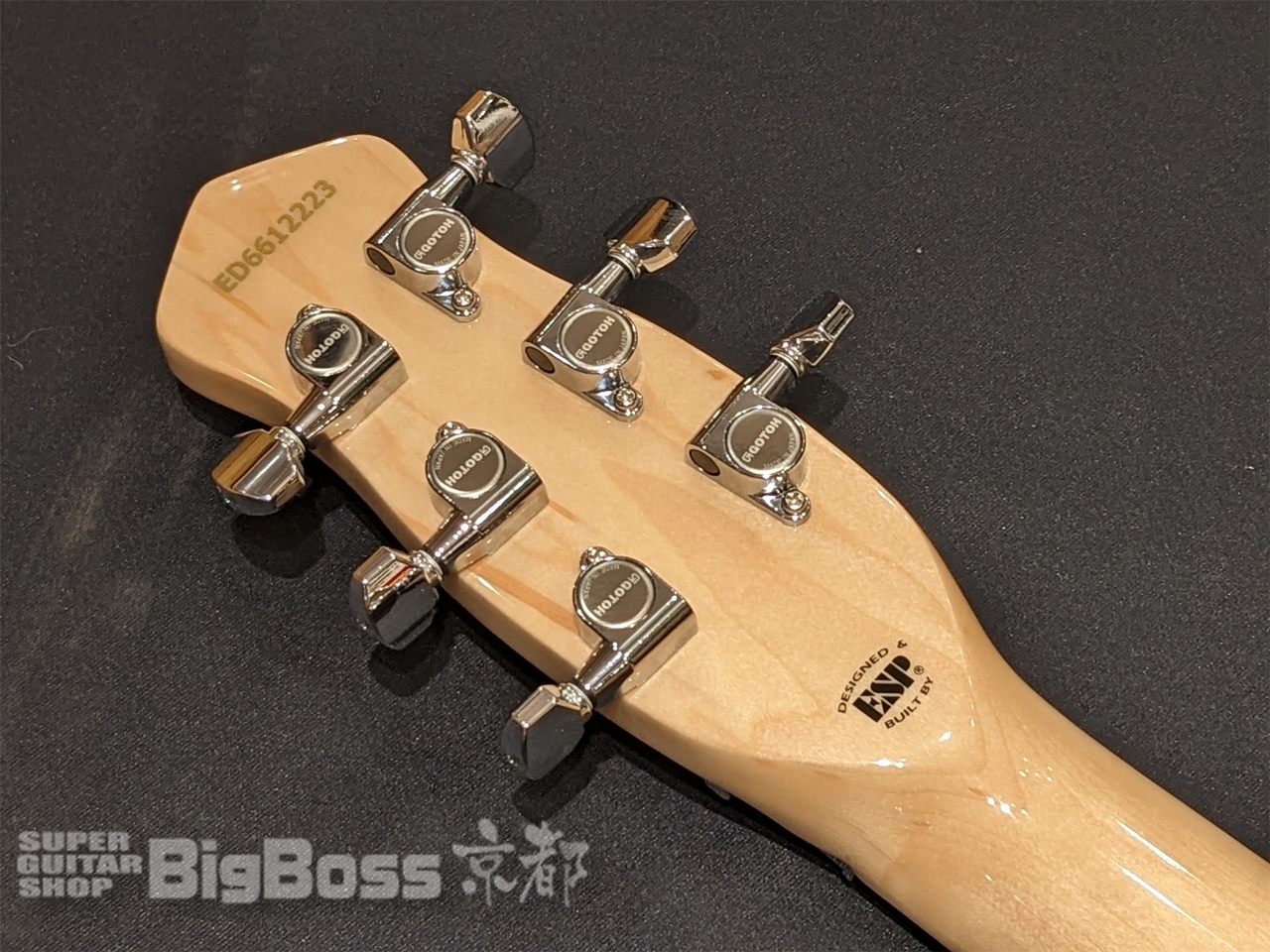 Discontinued Model | ESP GUITARS