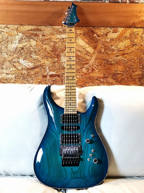 G-Life Guitars 【日本製ハイエンドギター】DSG Life Ash -Royal Blue