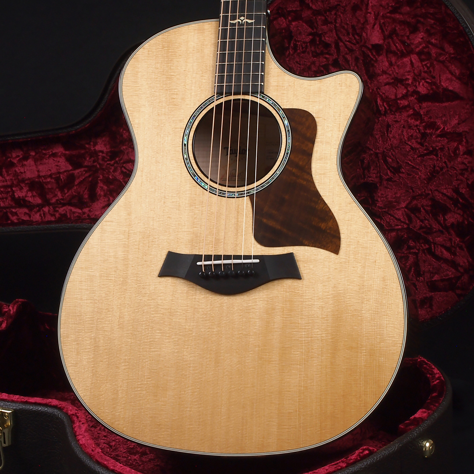 Taylor 614ce V-Class（新品特価/送料無料）［デジマートSALE］【楽器 ...