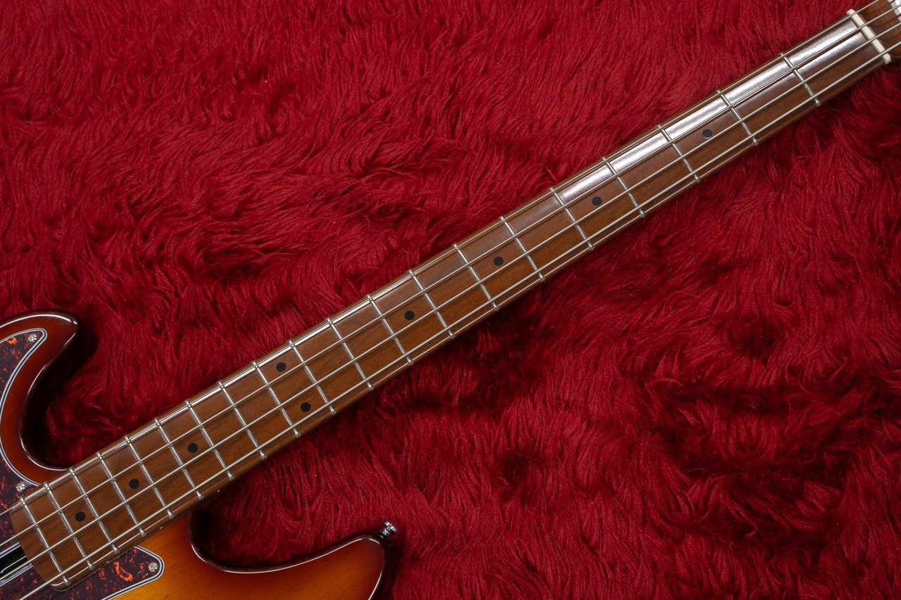 Sire P5 Alder-4 TS LH 3.860kg #2N23591087【GIB横浜】（新品/送料