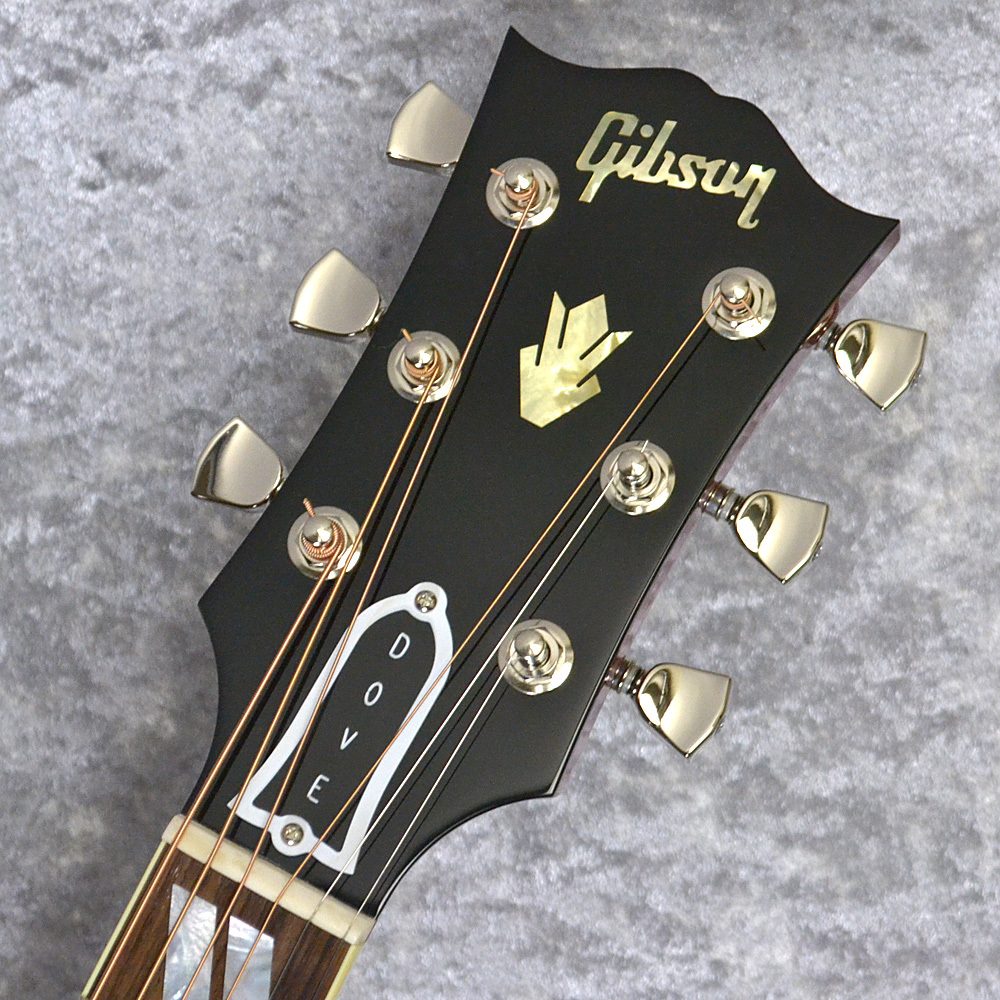 Gibson Dove Original（新品/送料無料）【楽器検索デジマート】