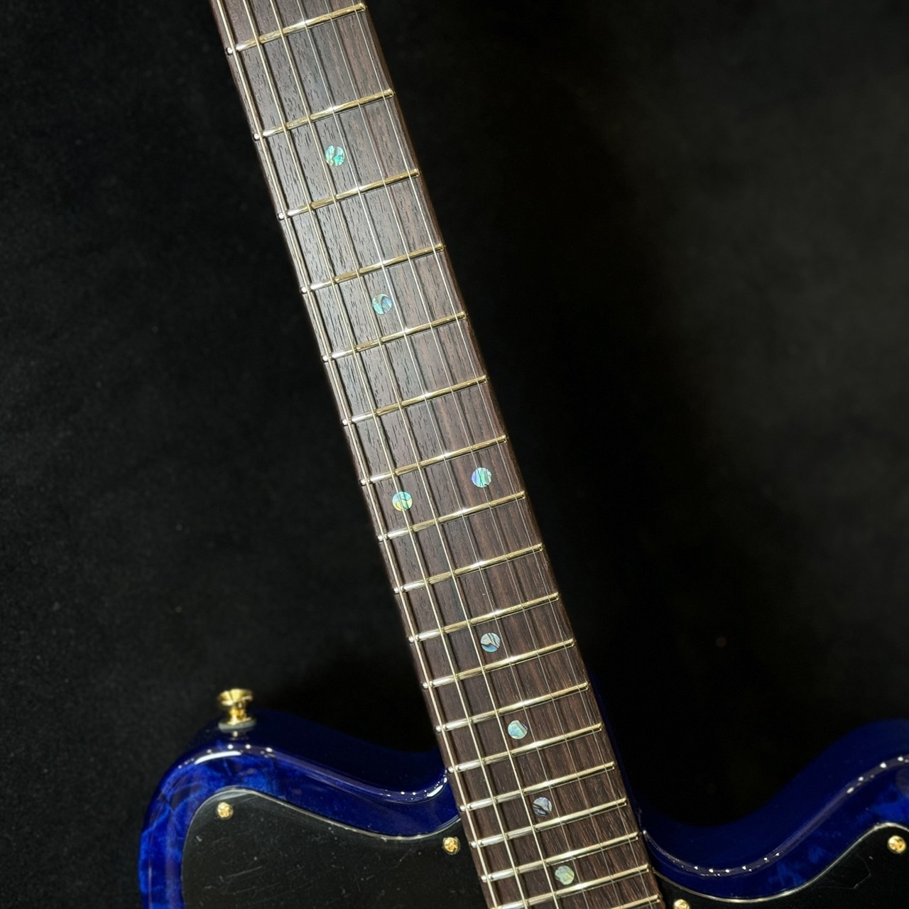 FREEDOM CUSTOM GUITAR RESEARCH 【選定オーダー】O.S.shaker FT-Load