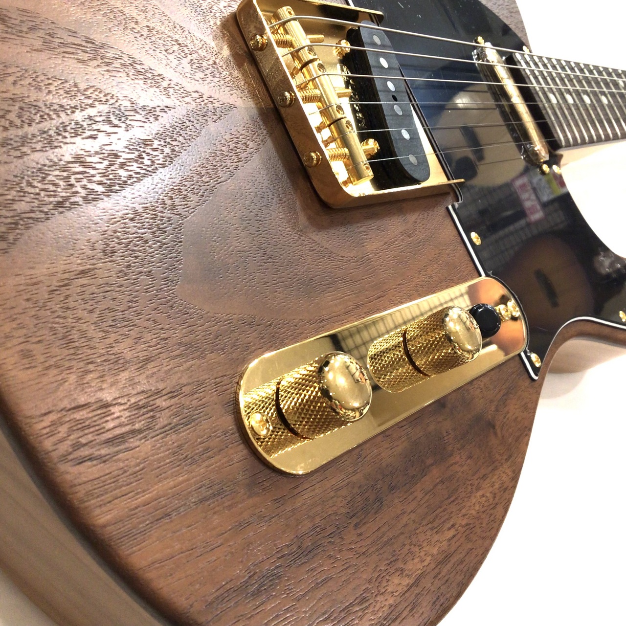FUJIGEN FGN フジゲン テレキャスター ギター FUJIGEN（フジゲン） 日本製 エレキギター テレキャスタータイプ