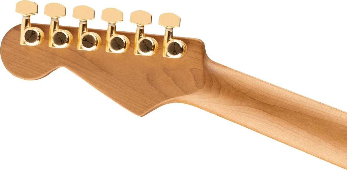 Charvel Pro-Mod DK24 HH 2PT CM Poplar Burl Caramelized Maple