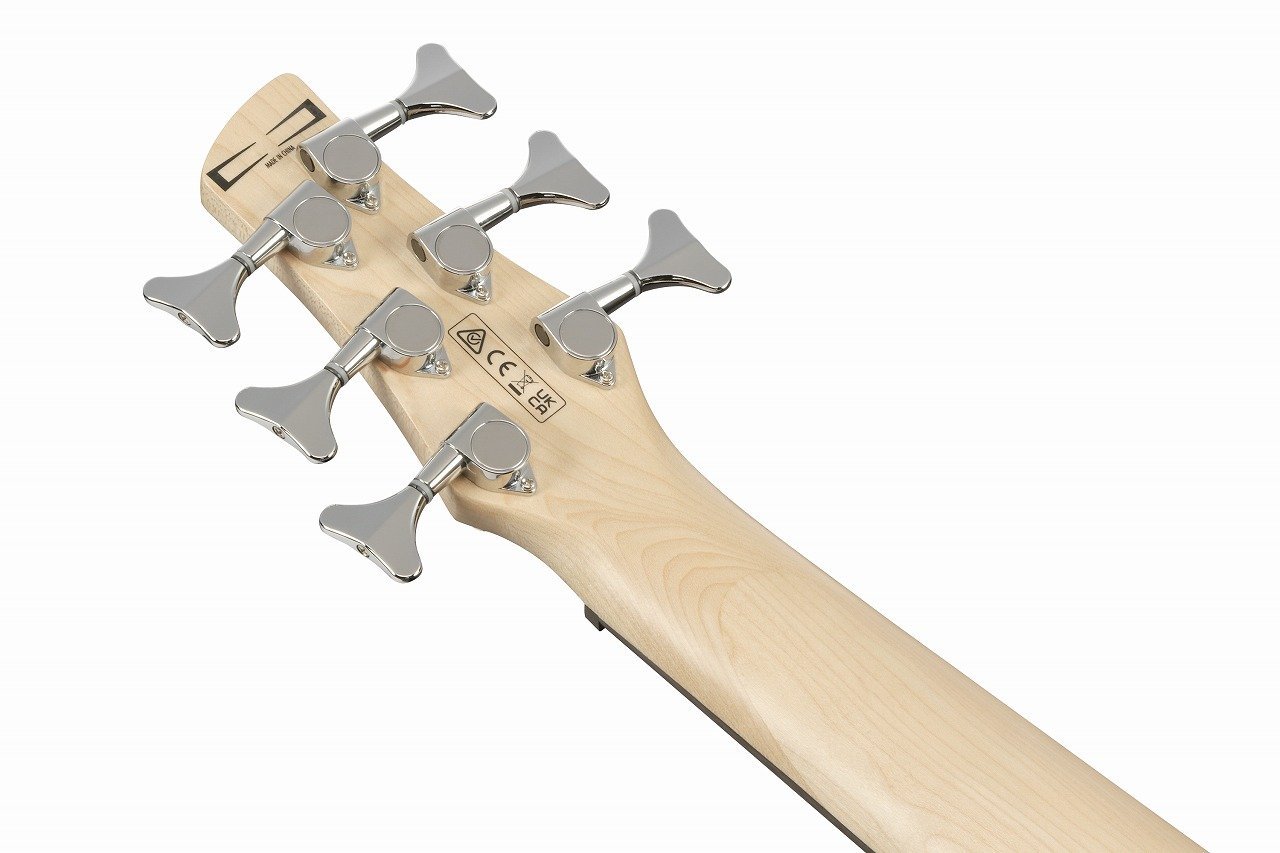 新品 Ibanez 6弦ベース GSR206SM アイバニーズ 71c2x80Cf0L._UF350,350_QL80_.jpg