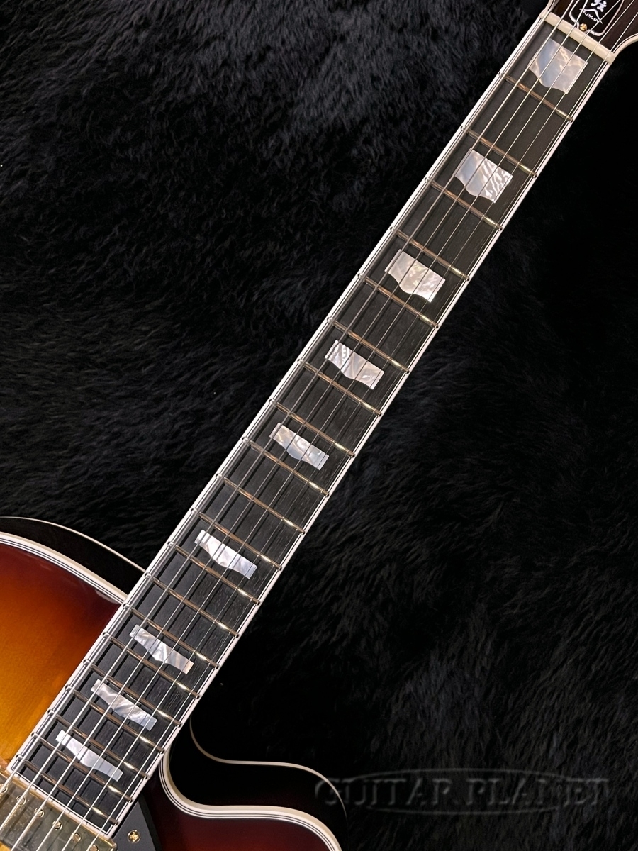 FUJIGEN(FGN) MFA-FP -JB (Jazz Burst)-【2.8kg】【コイルタップ付