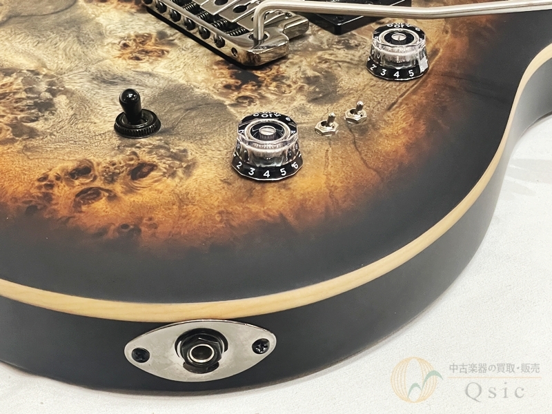 Paul Reed Smith(PRS) SE Custom 24-08 Poplar Burl Limited Edition