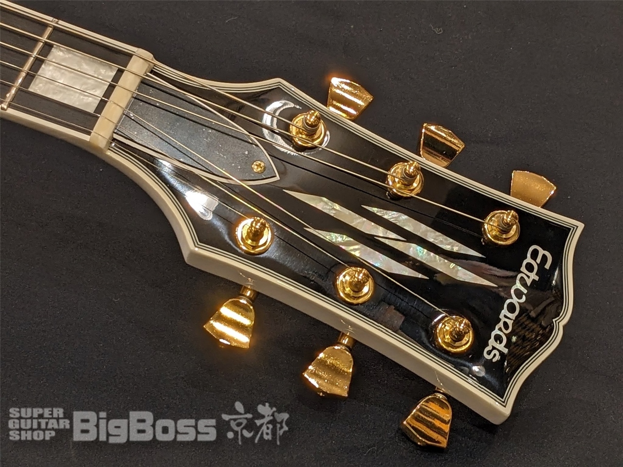 EDWARDS E-LP-CTM / White（新品/送料無料）【楽器検索デジマート】