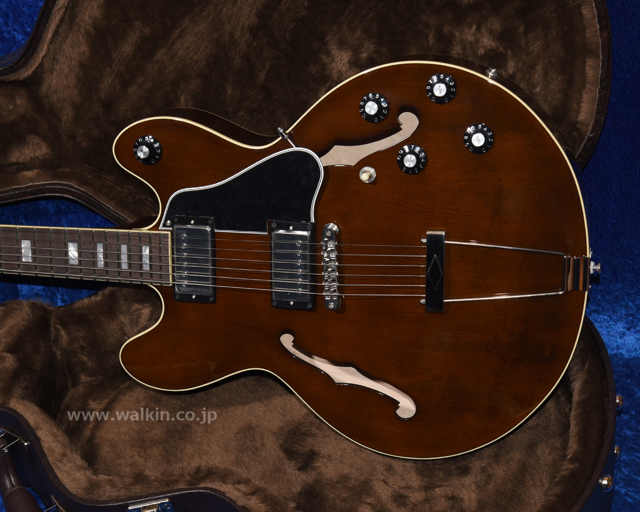 希少 Archtop Tribute AT-150D フルアコ Archtop Tribute AT150D（新品）【楽器検索デジマート】