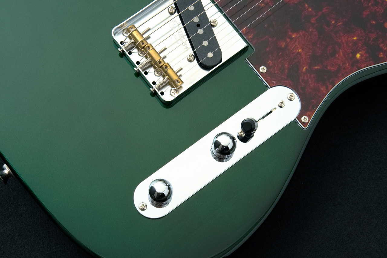 ギター FUJIGEN(FGN)NTE100RAL/Candy Apple Green FUJIGEN Neo Classic Series NTE100RAL (Candy Apple Green) ｜イケベ