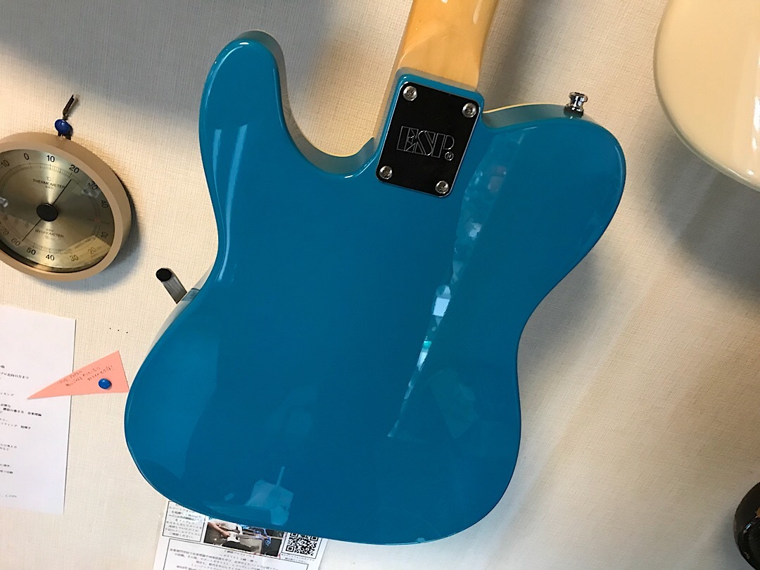 ESP SAMBO(ORDER)（中古）【楽器検索デジマート】