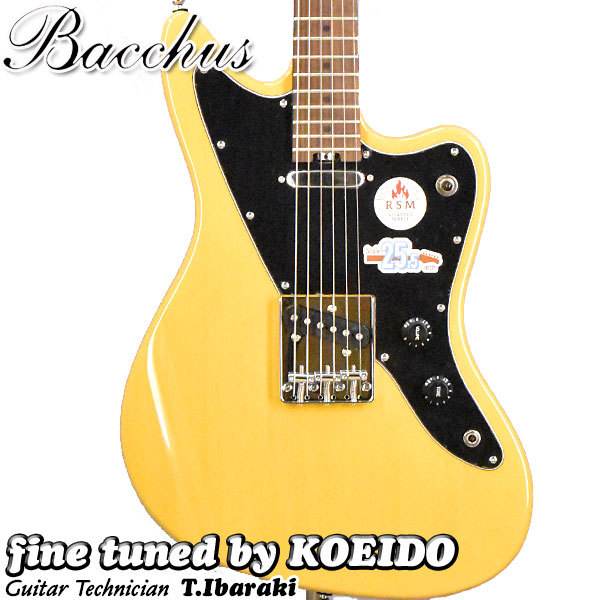 Bacchus Bacchus WINDY-BREAKER/RSM BBD 【アウトレット特価】【小樽店