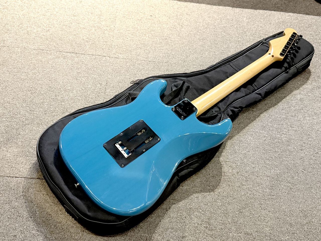 P project エレキギター P-プロジェクトのカタログ外モデルが入荷！ | イシバシ楽器