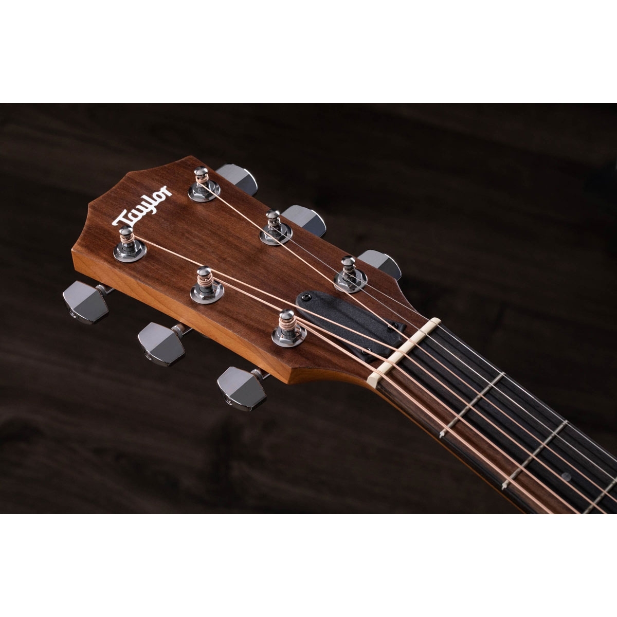 Taylor Academy 12e [人気のアカデミーシリーズ エレアコ