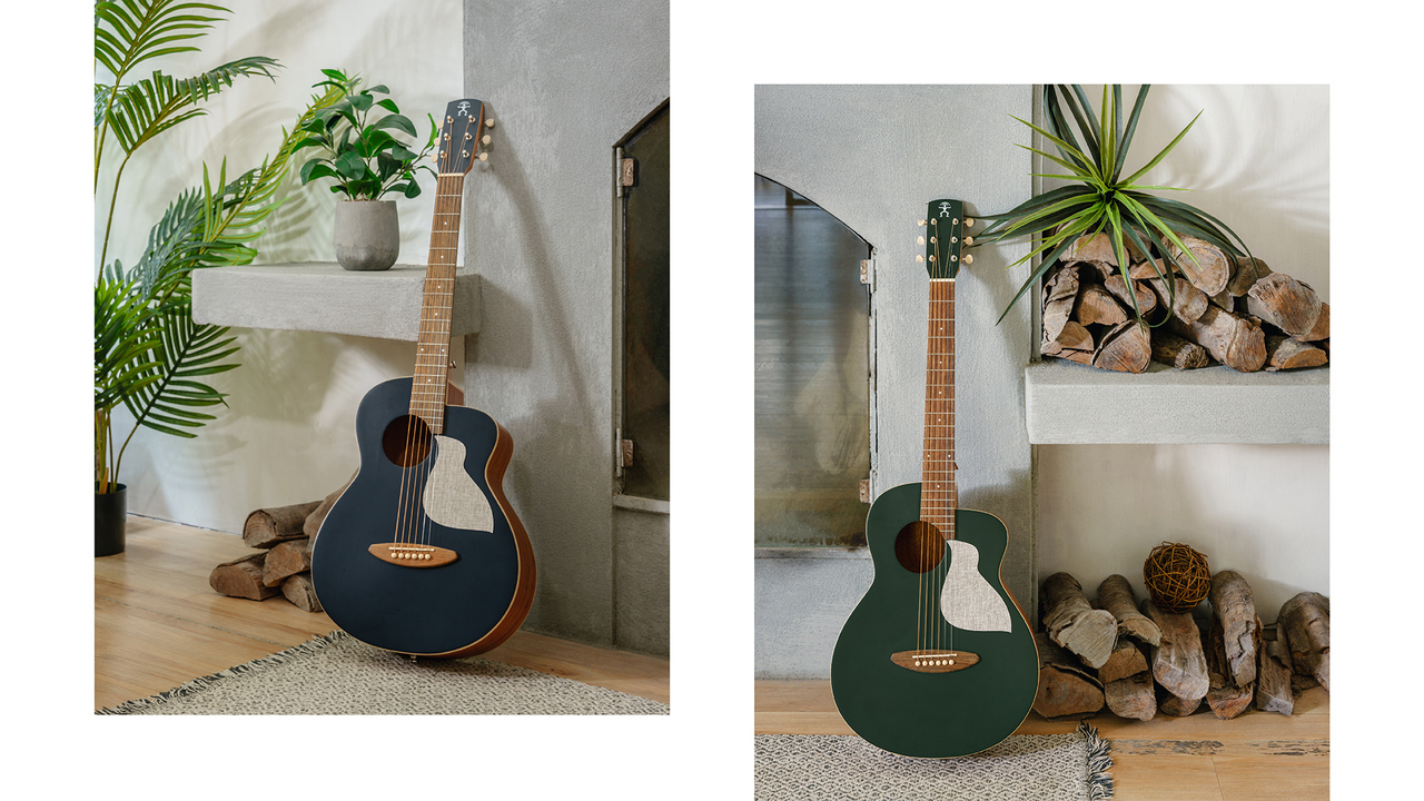 aNueNue MC10 アヌエヌエ aNueNue アヌエヌエ aNN-MC10 アコースティックギター ミニ