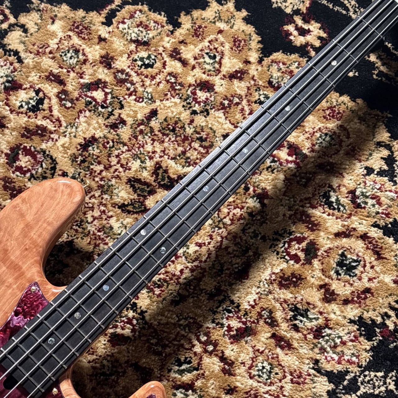 momose MJ-SAKURA LTD/E Bass collection2026商材（新品/送料無料