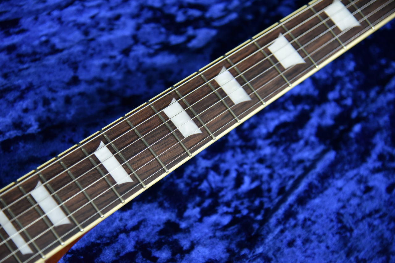 Tokai LS-101 LD Lemon Drop MADE IN JAPAN （新品）【楽器検索