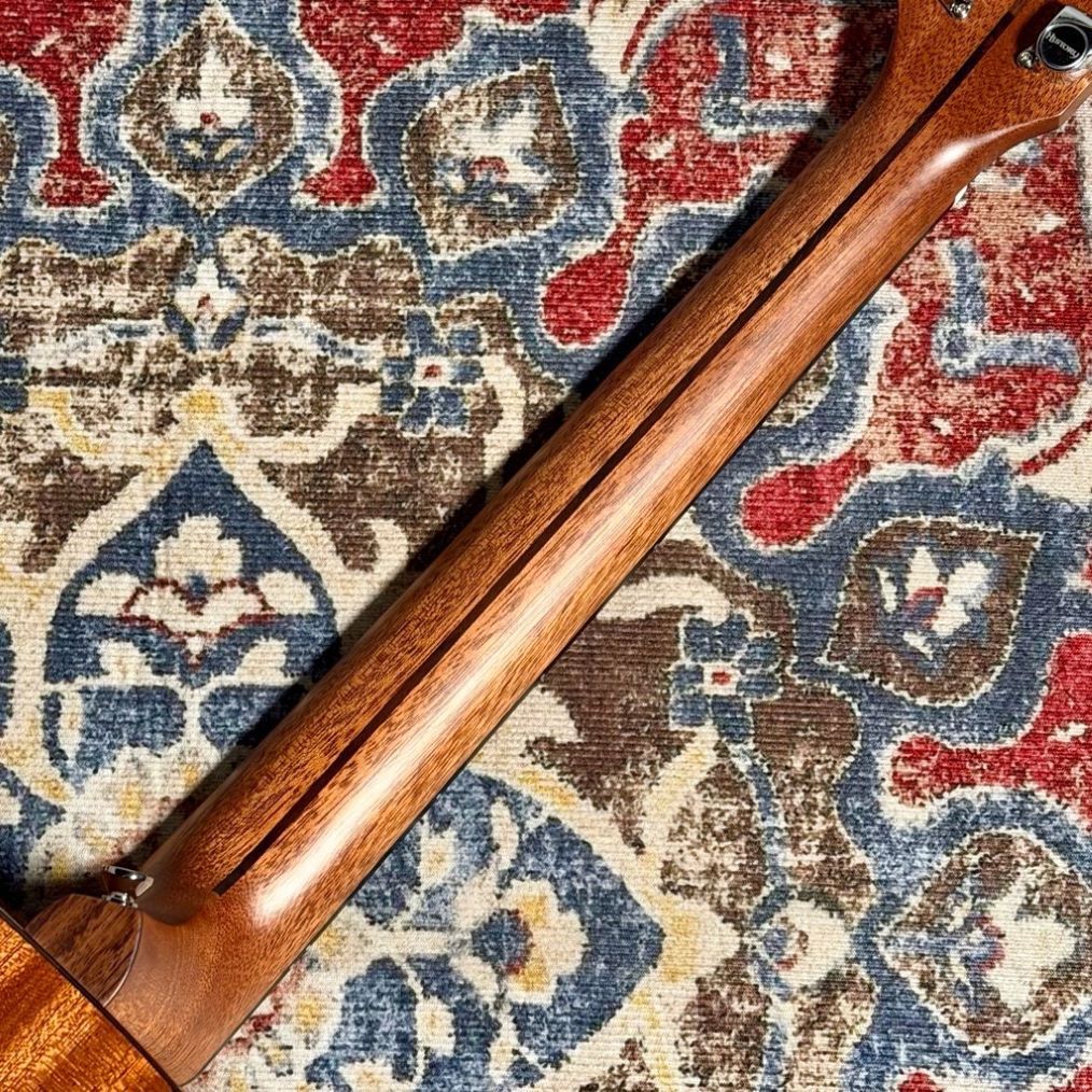 HISTORY NT-L4/Performance エレアコ オール単板 マホガニー ドレッド