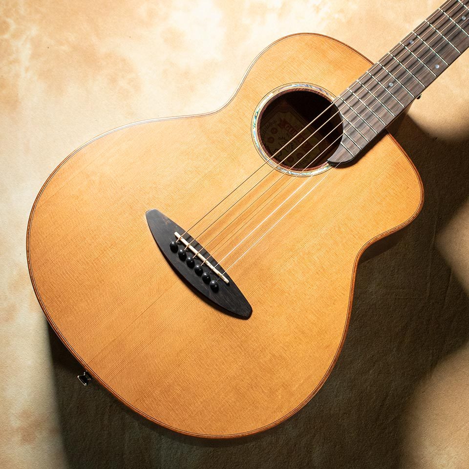 aNueNue aNN-M60【お取り寄せ商品】（新品/送料無料）【楽器検索