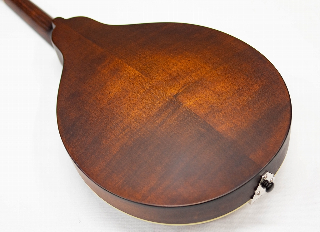 Eastman MD-304 イーストマン フラットマンドリン