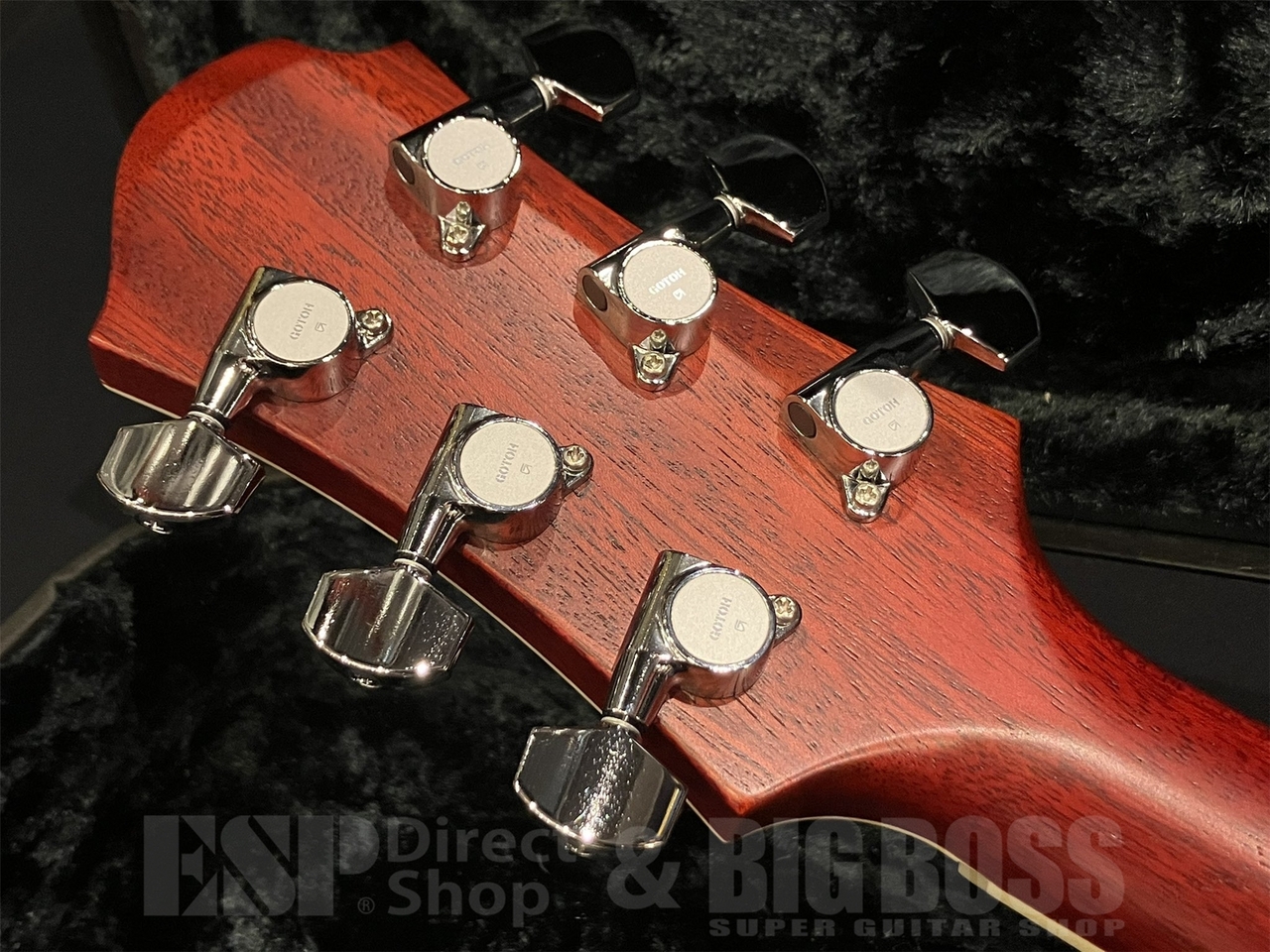 Zemaitis A24MF / Natural 【HISASHI Mod】（中古/送料無料）【楽器