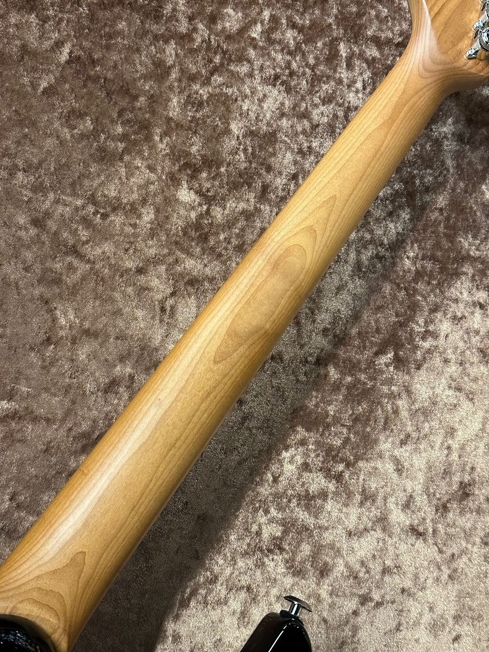 Suhr Modern Plus -Chilli Pepper Red- ≒3.033Kg（新品/送料無料