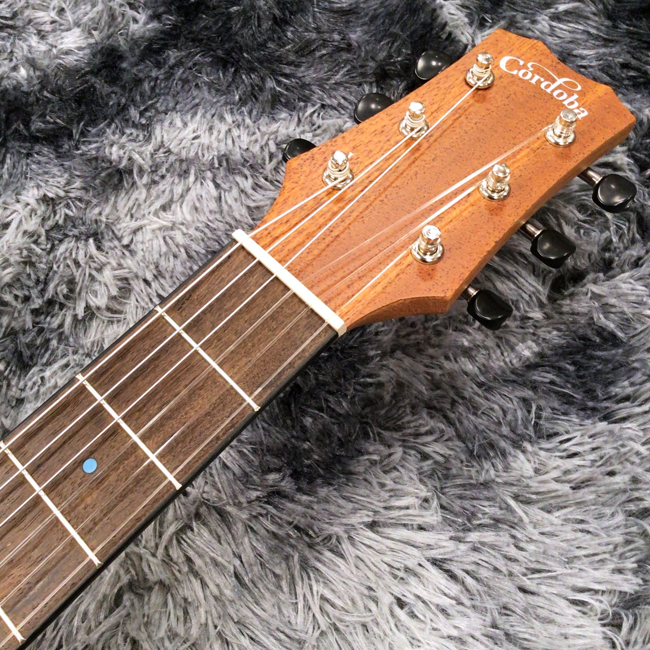 Cordoba MINI II Santa Fe【特価】【ミニギター】（新品特価/送料無料