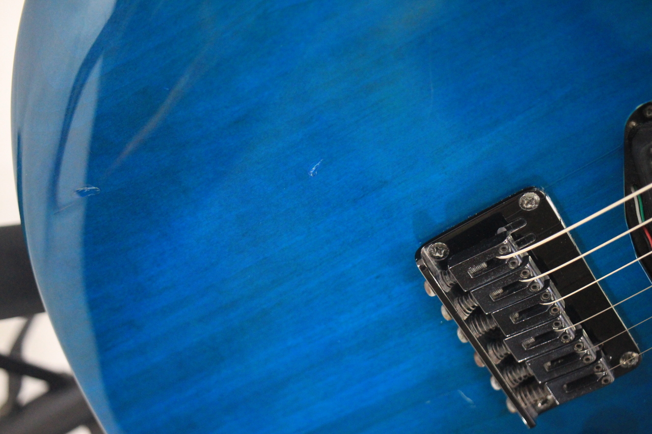 GrassRoots G-P-50J（中古）【楽器検索デジマート】