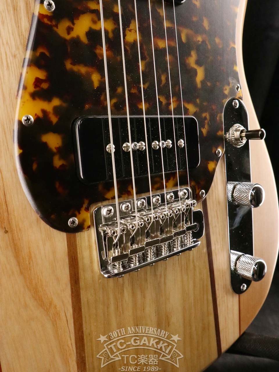 T.S factory 151A-TSSP SDGs（新品）【楽器検索デジマート】