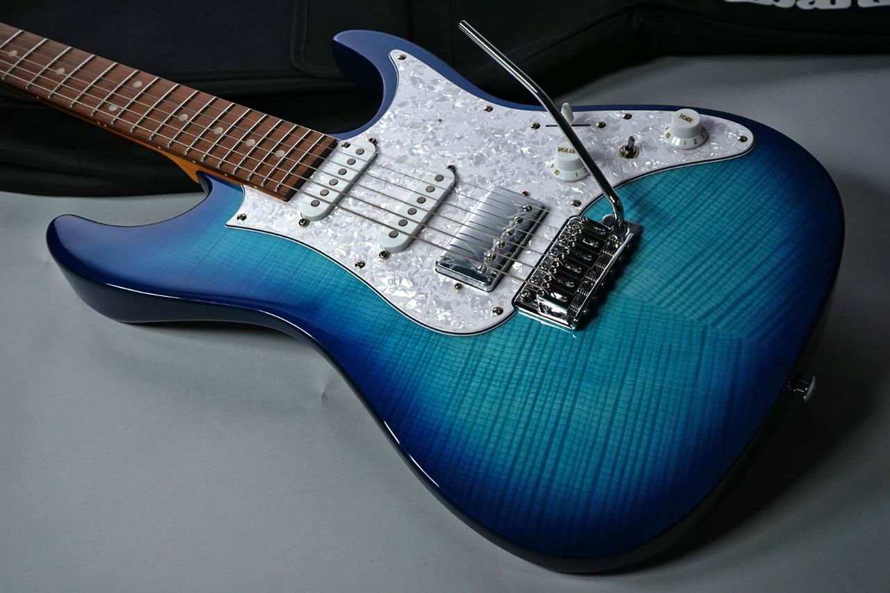 【TT 様】 エバーフレッシュ 沖縄産♪ 153cm♪ TT 様】 エバーフレッシュ 沖縄産♪ 153cm♪