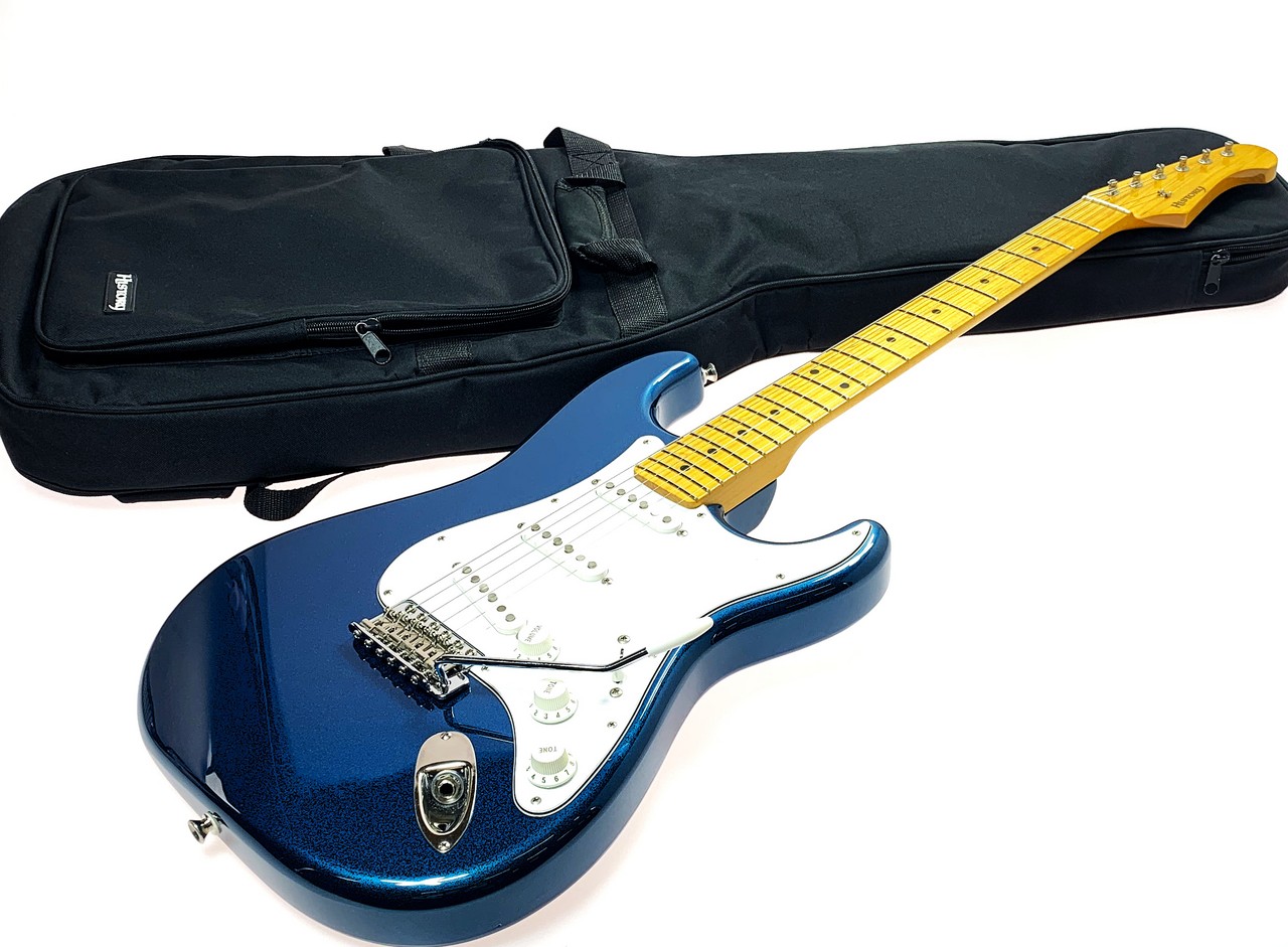 HISTORY CZ-SV/M（中古）【楽器検索デジマート】