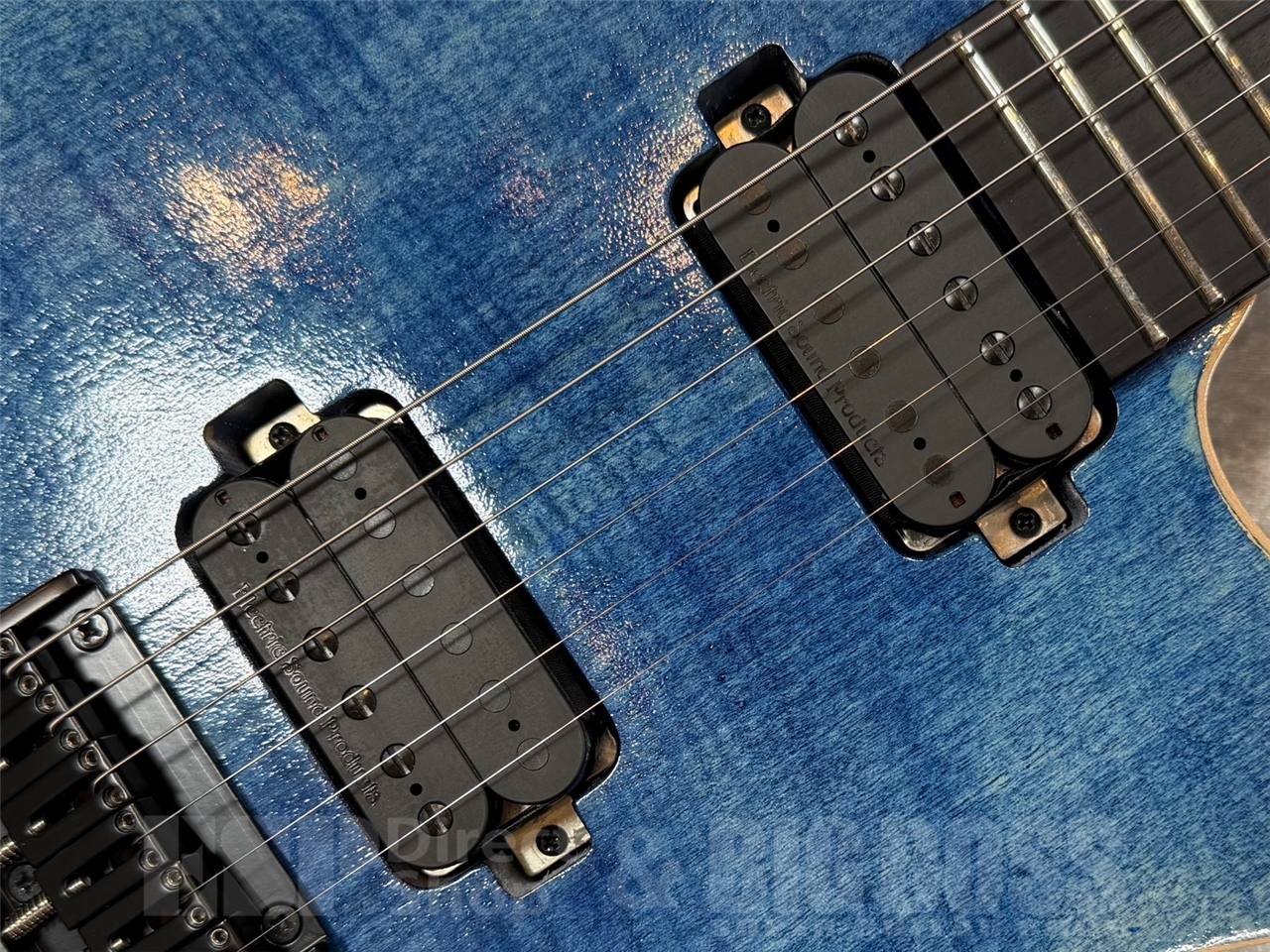 EDWARDS E-M-II CTM【Denim Blue】（新品/送料無料）【楽器検索