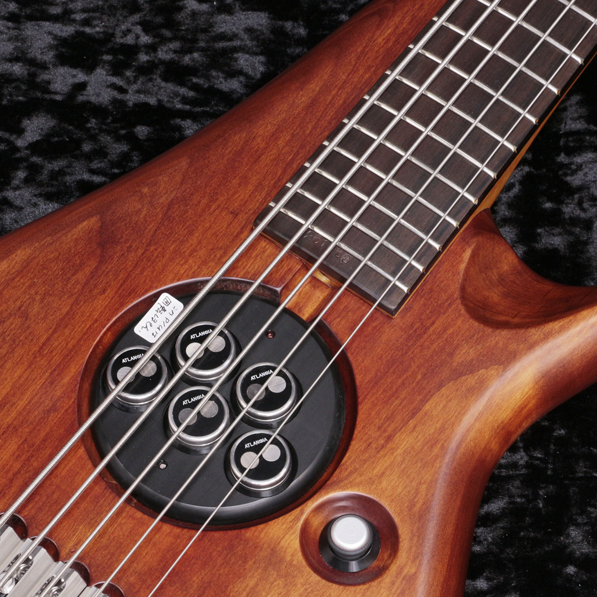 ATLANSIA Bohemian 5st Bass Brown【新宿店】（新品/送料無料）【楽器