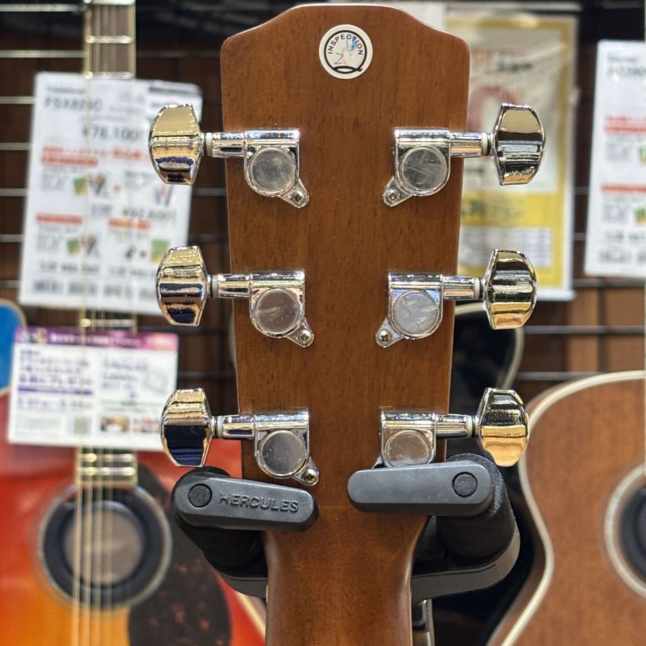 Morris F251【現物写真】（中古）【楽器検索デジマート】