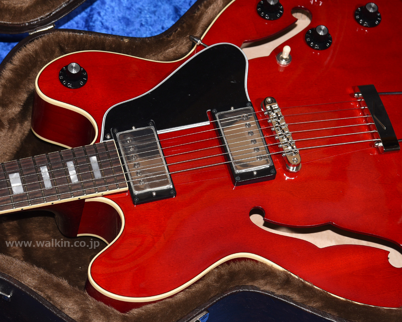 希少 Archtop Tribute AT-150D フルアコ Archtop Tribute AT150D（新品）【楽器検索デジマート】
