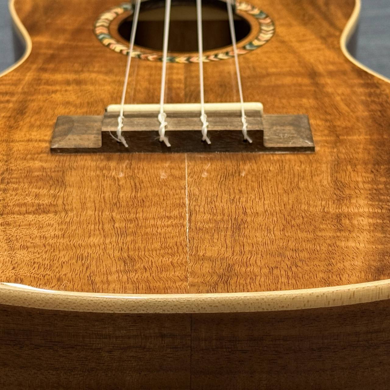 DCT DUC-720K 【Concert】【訳アリ特価】（B級特価/送料無料