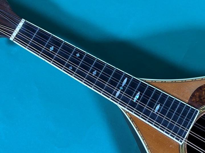 Martin STYLE-C（ビンテージ）【楽器検索デジマート】