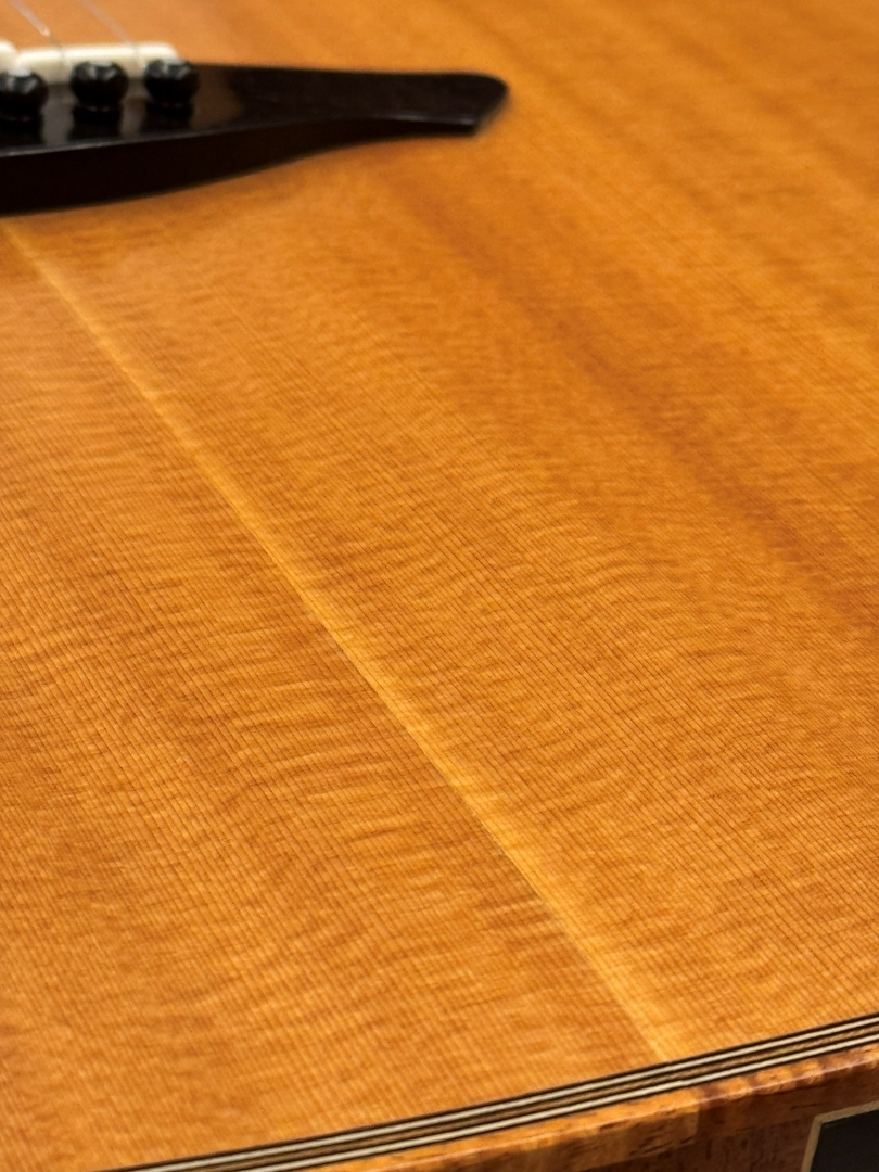 AVALON Guitars L2-800C 《Brazilian Rosewood》【無金利分割OK】（B級