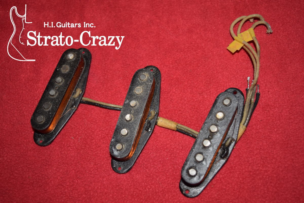 美品 60s ダーウィン　スカル　ドクロ　モンキー　ビンテージ 毛なみ Amazon.co.jp: 解説書付き 1962 ビンテージ ダーウィン 進化論