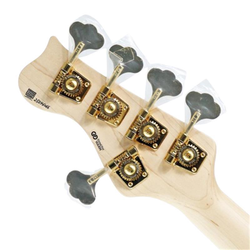 FREEDOM CUSTOM GUITAR RESEARCH O.S. Anthra 5st Active Ash/Rosewood