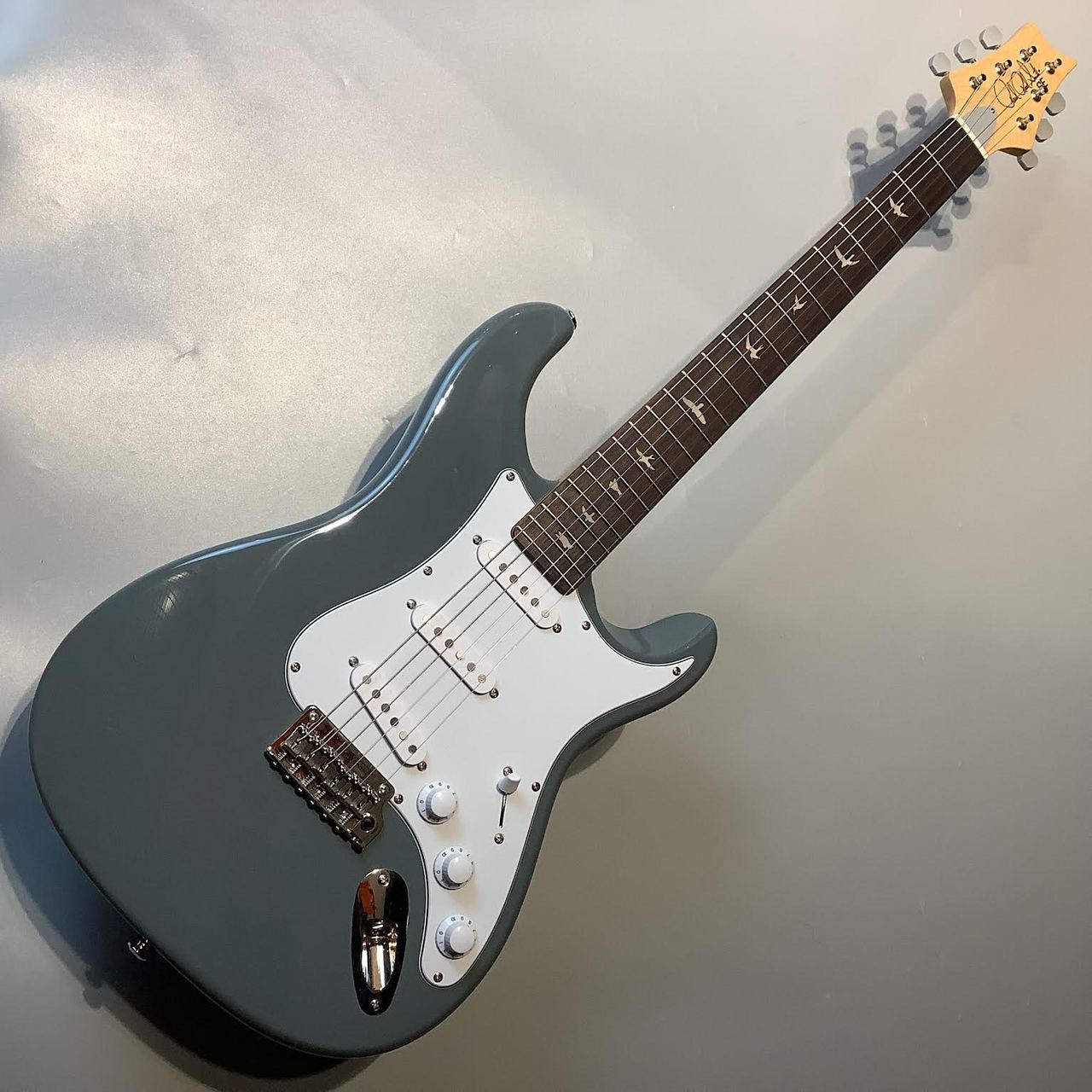 Paul Reed Smith(PRS) 【現物画像】【3.29kg】SE Silver Sky