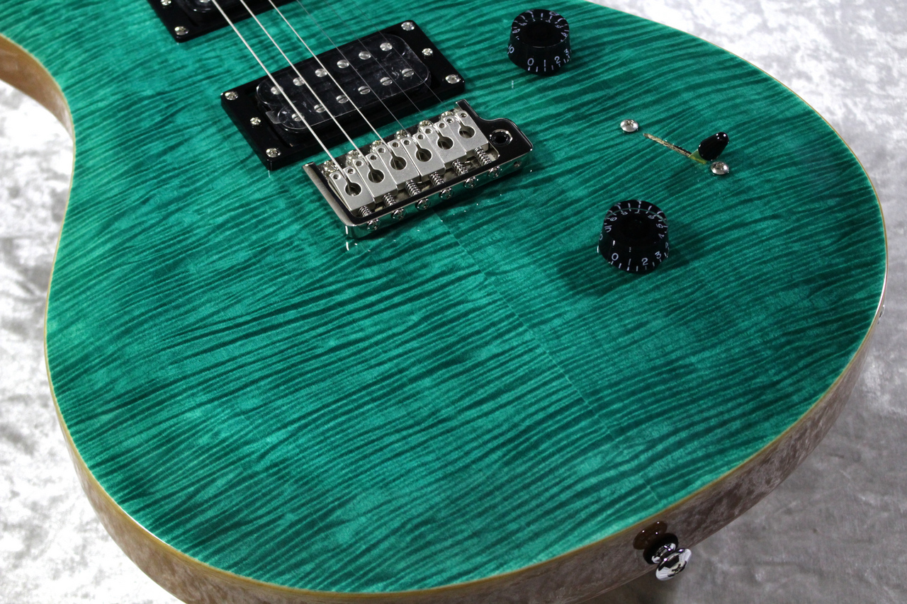 PRS Paul Reed Smith SE custom (管理ヒキ) PRS Paul Reed Smith SE custom (管理ヒキ)