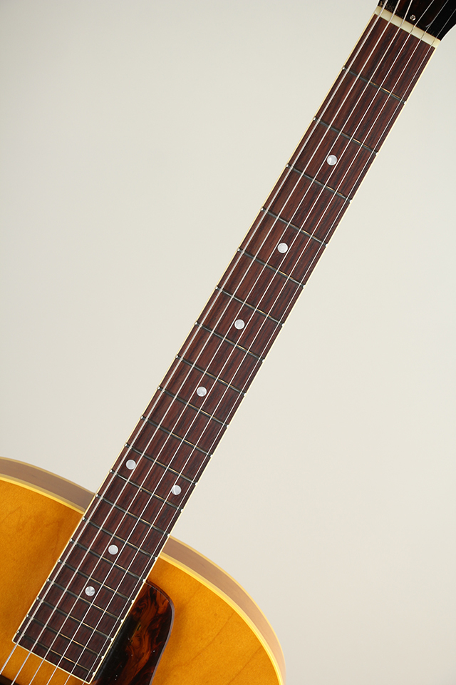 KING SNAKE Muddy Non Cutaway Amber Natural（新品）【楽器検索