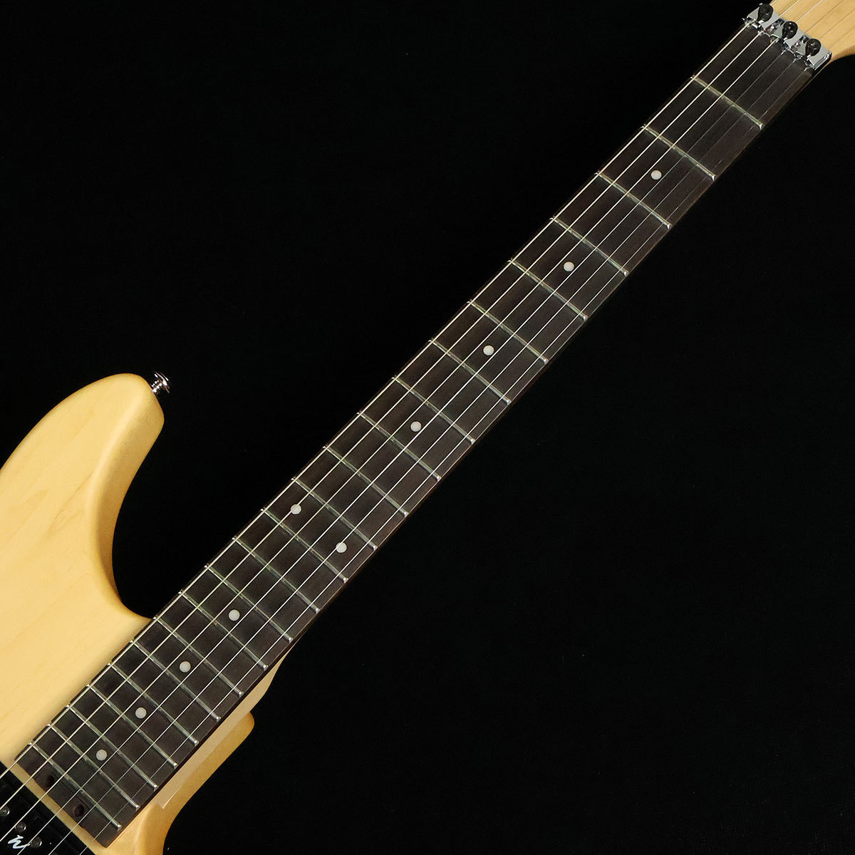 Washburn N2 NUNO S/N：IW21120023 【ヌーノ・ベッテンコート