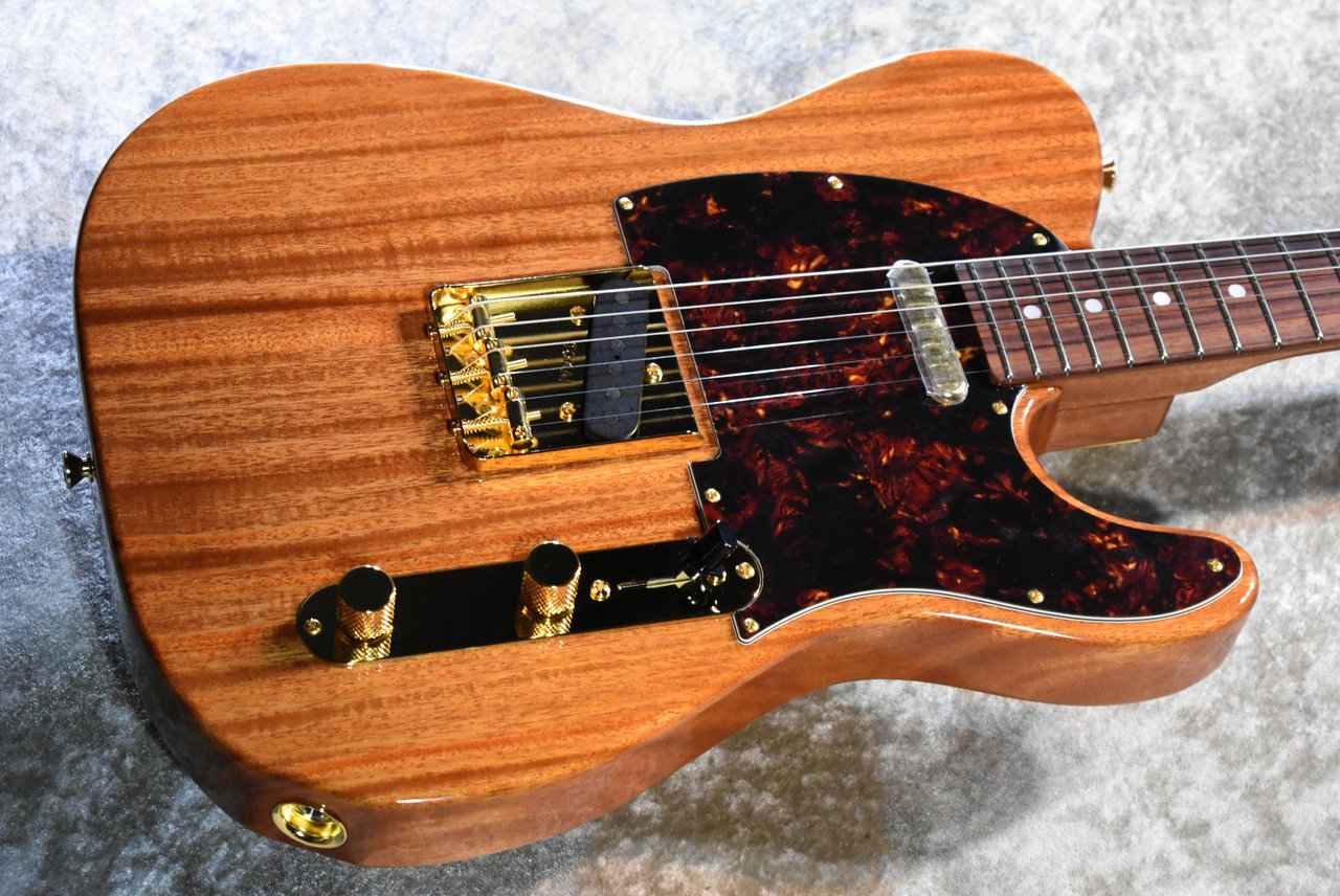 Tokai ATE-103G NR #260373【限定モデル、マホガニーネック&ボディー