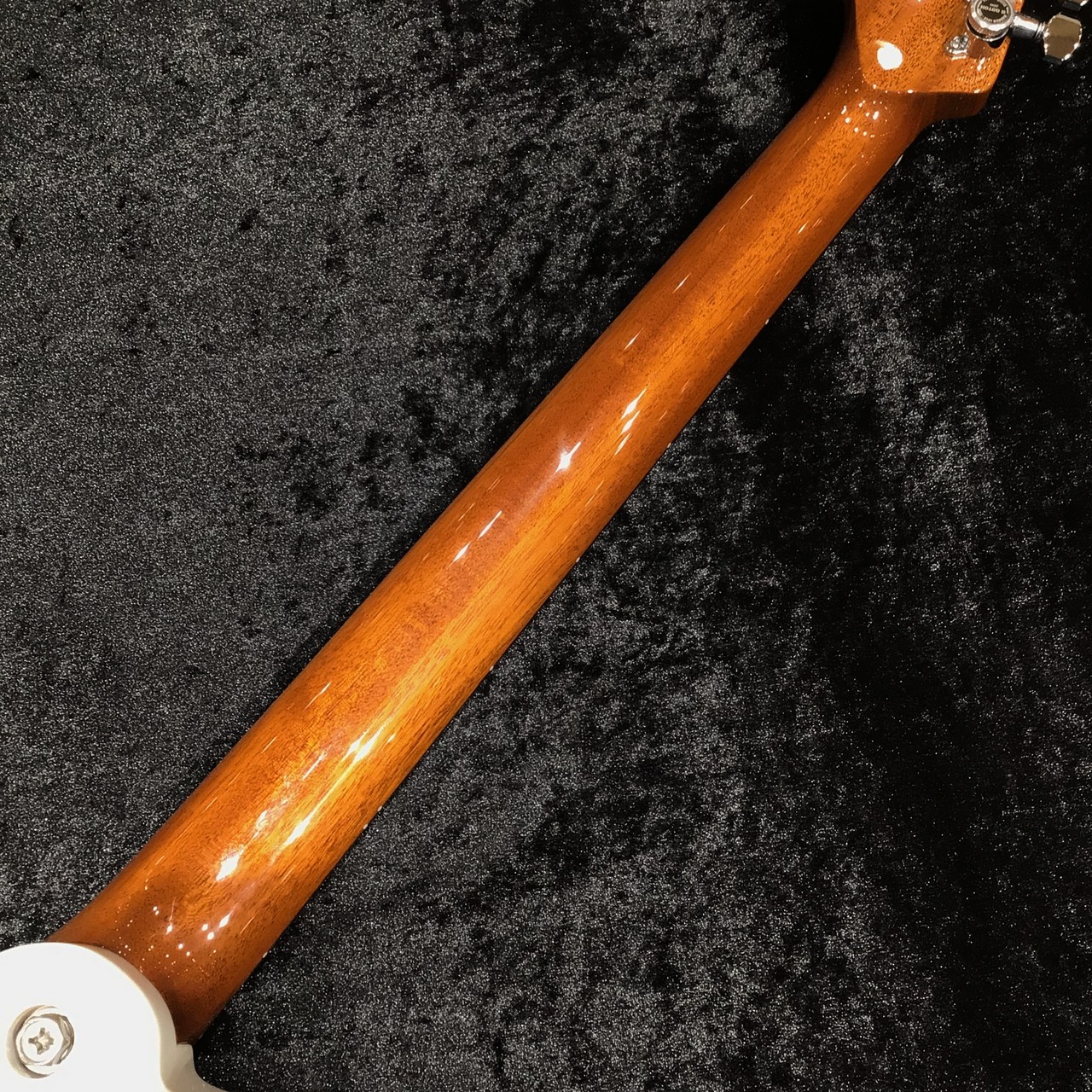Kz Guitar Works Kz TL Trad 22 2H5 / TV White【オーダーモデル