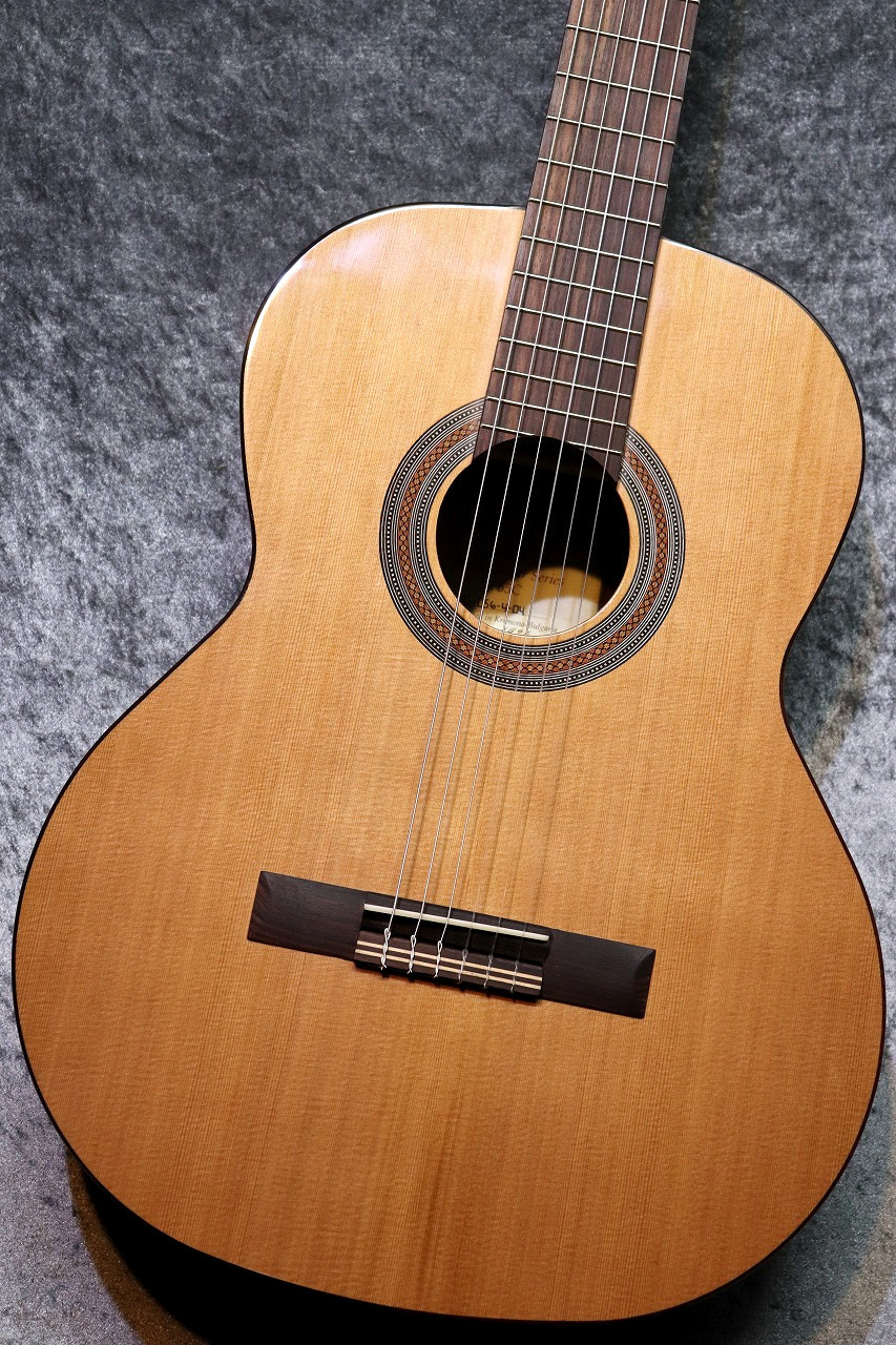 Orpheus Valley Guitars Fiesta F65C 杉 / ローズウッド #056【現物写真】【池袋店在庫品】