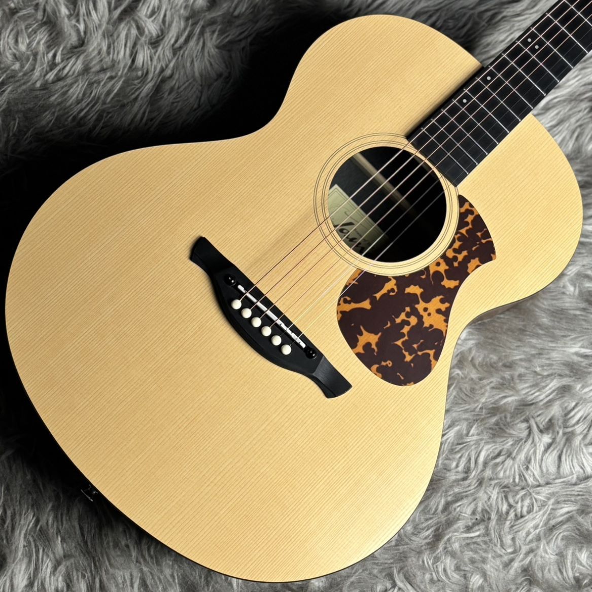 James J-100A SPT アコースティックギター ギグケース付属 スプルース